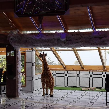 Hotel Al Azeem Ayubia Zewnętrze zdjęcie