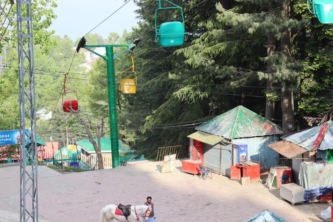 Hotel Al Azeem Ayubia Zewnętrze zdjęcie